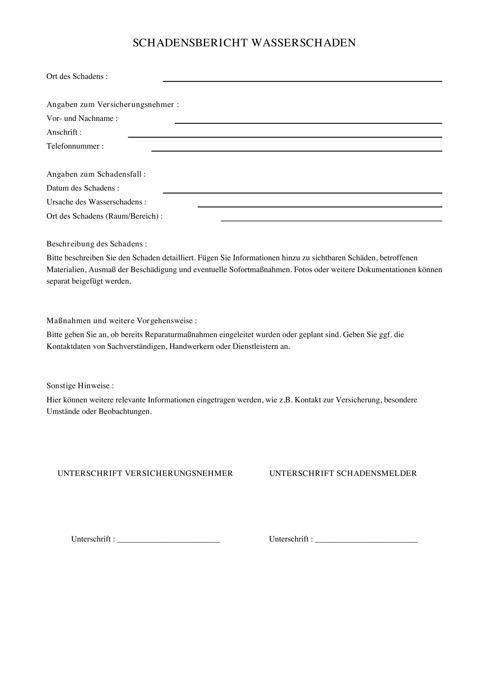 Schadensbericht Wasserschaden Vorlage